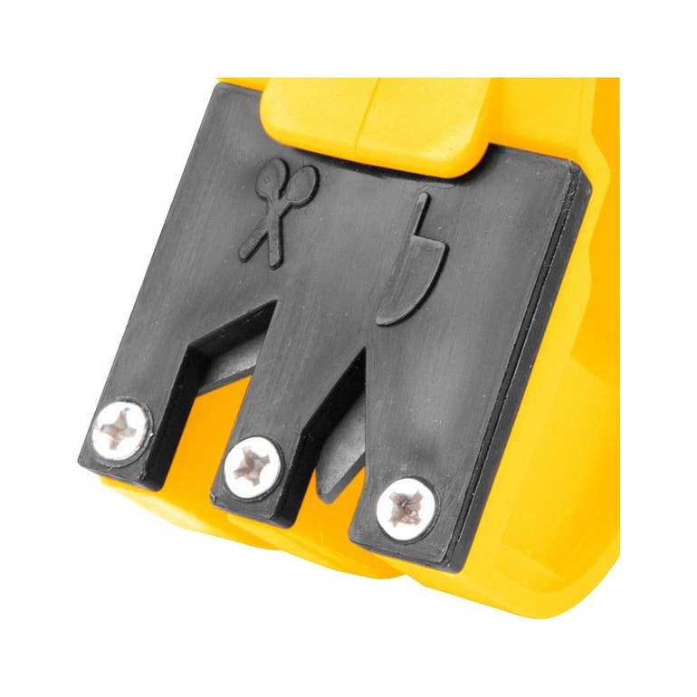 image_d04b260f-21dc-4fb2-badc-228dff0aeff9