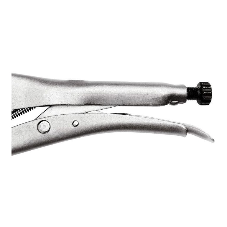 image_c88a0ffd-f5f7-4f39-bc1a-046192e83c54