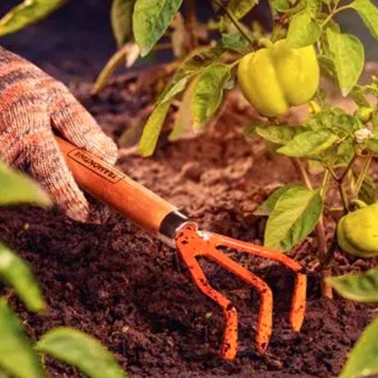 image_42d8a430-4300-4c2e-8779-a8df74e6af97