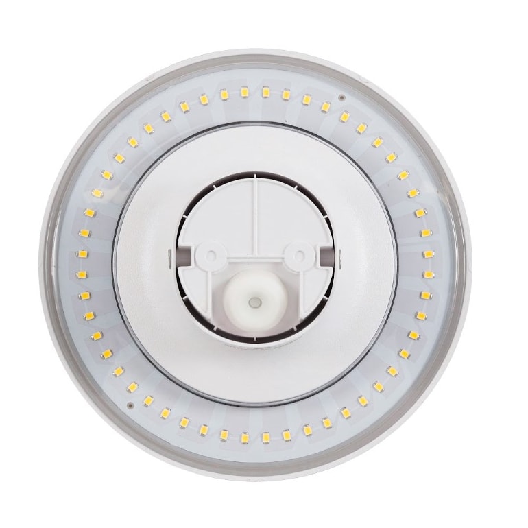 image_6b220827-a4f6-4d28-8c19-21b35272463e