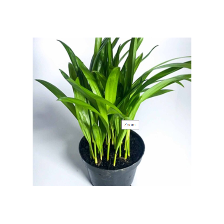 Product main image - 647201a3-a8de-4da3-98e5-fbe75eb83edd