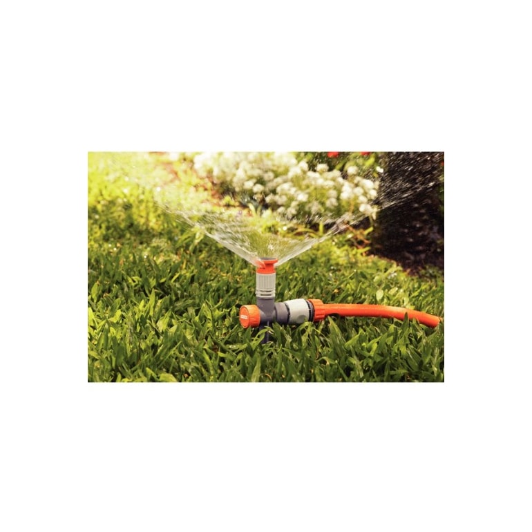 image_8a77e30e-f5d3-4ad7-afe8-32d73586fc83