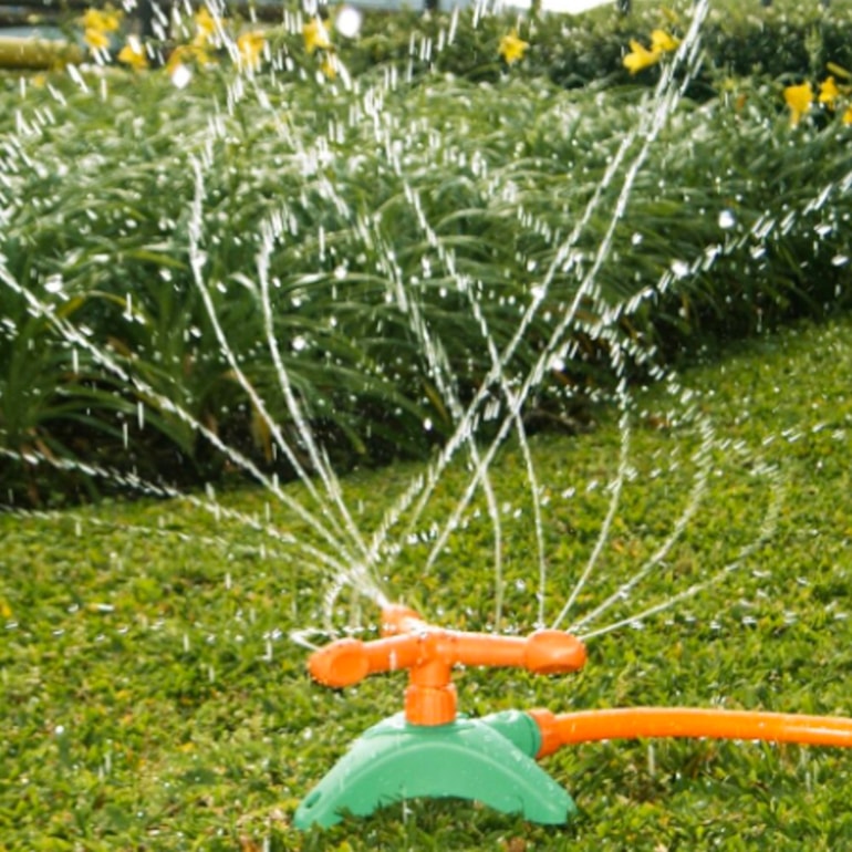 image_e38fd6b9-2af3-4c29-b06e-53632ade502f