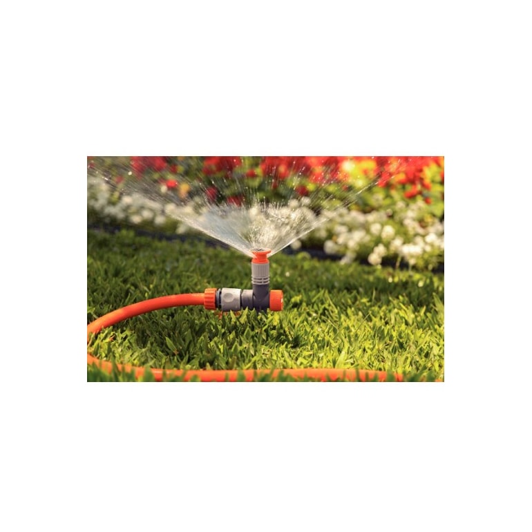 image_4a06a011-225d-4903-8754-d5f876669c78