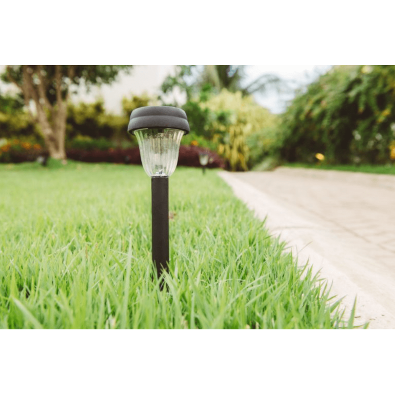 image_afe3ca0c-1a0d-4785-b762-ce289fdccfe1