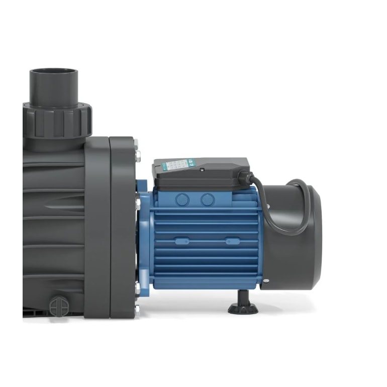 image_491e6939-3a4f-4a86-a3e6-8c72a2887d26