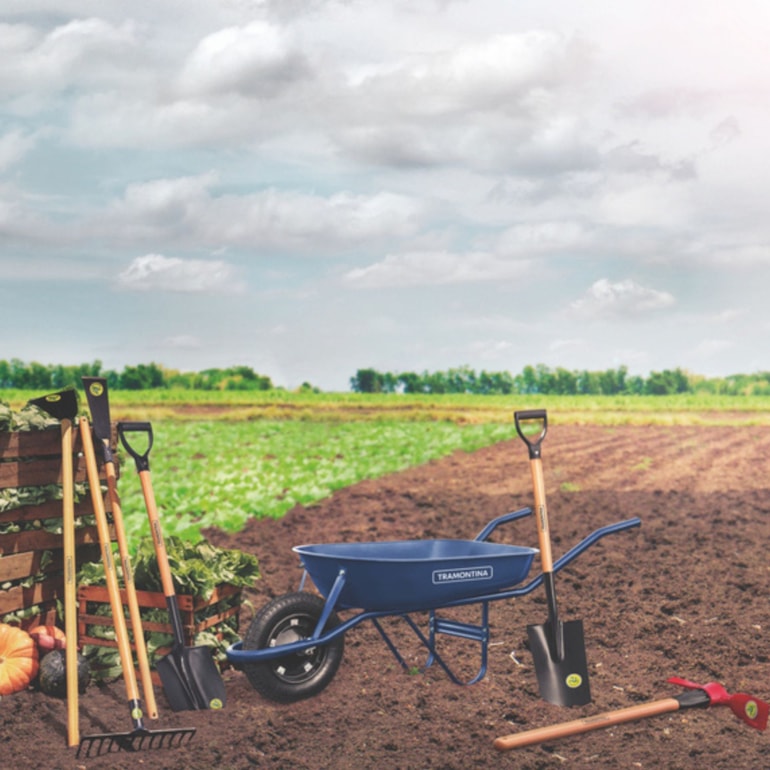 image_edf37379-c4ef-4ebc-a738-152bfcc89266