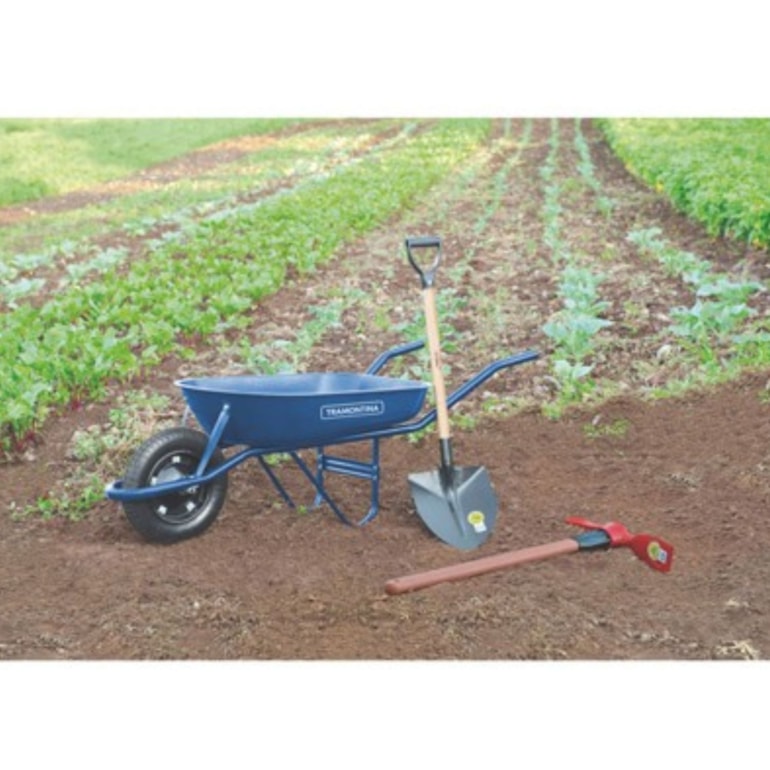 image_ff9f0bb2-252f-49f7-ba1e-55bfdfb6201e