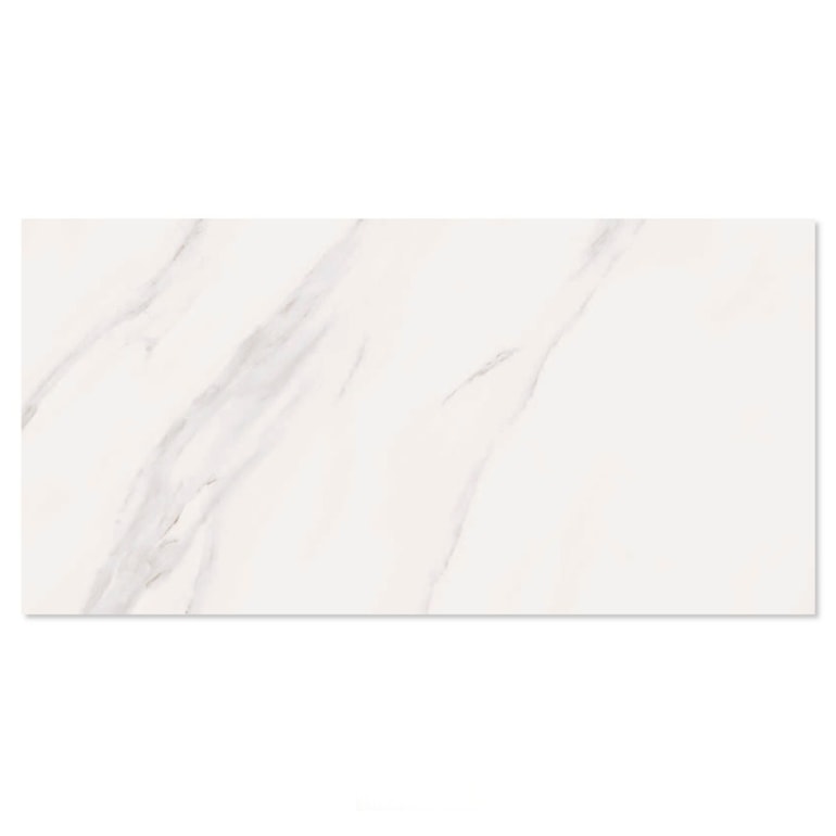 image_e86e658a-af4d-4ffa-b822-b691efeaa32b