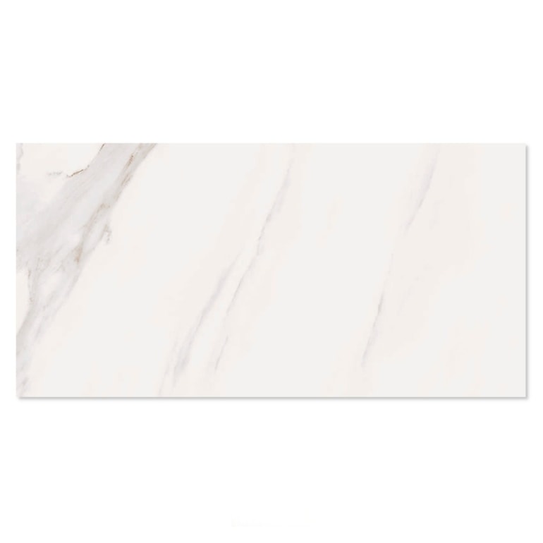 image_e2ceece3-9ec4-4c8f-afd5-6d84457d49f1