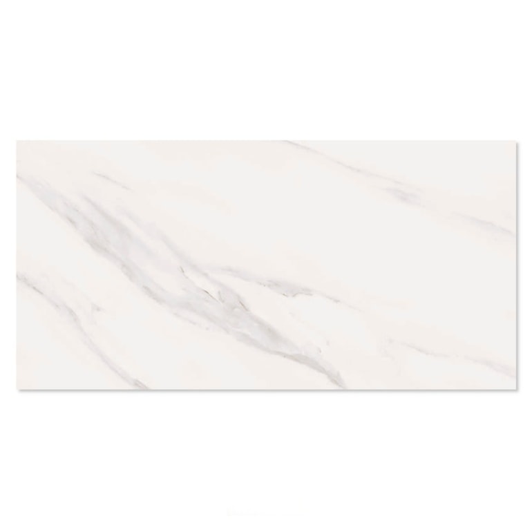 image_618b5e52-f2f9-4d40-b38e-62c80bacd57c