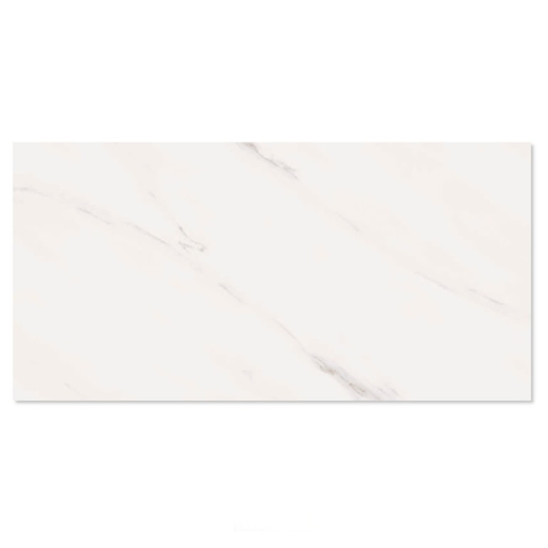 Product main image - f796ef0f-e9ab-4444-9f89-06eb85fa8f82