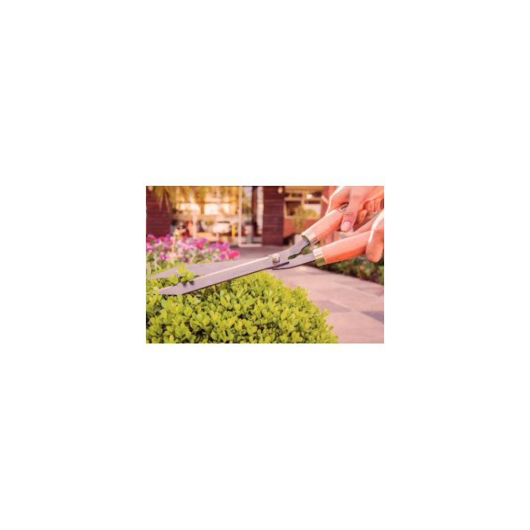 image_8d211688-ca33-4cac-a99c-a6d518ef9091