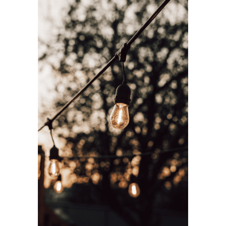 image_12f93c6b-6a22-4535-82dc-0aa0ef99a0bf