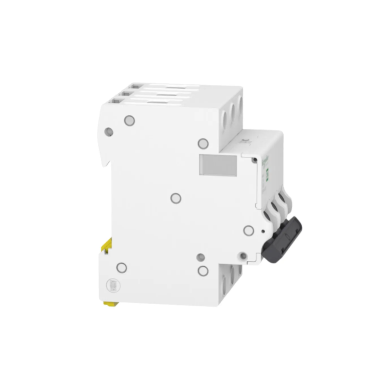 image_de22776f-3a7b-44f4-9dba-d73dde646da6