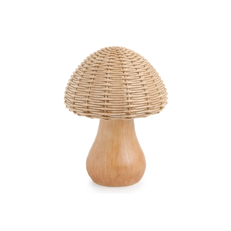 Product main image - 0e3e4c8e-c481-451c-b388-202c30284558