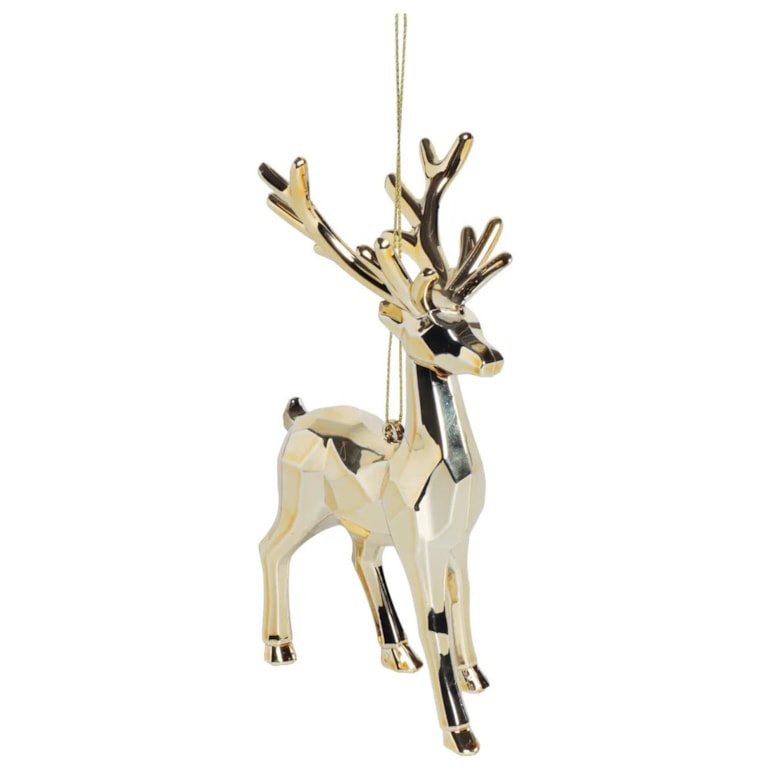 Product main image - 710c1b94-8f8c-4244-9d78-2a570a64a724