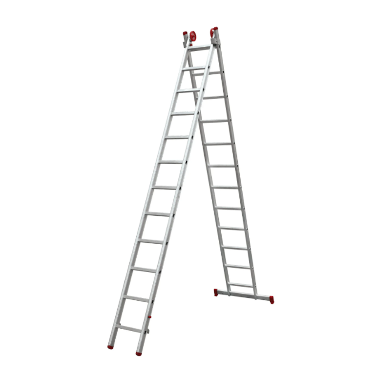 image_ea2f2556-2c75-4dcb-9395-e776135c227c