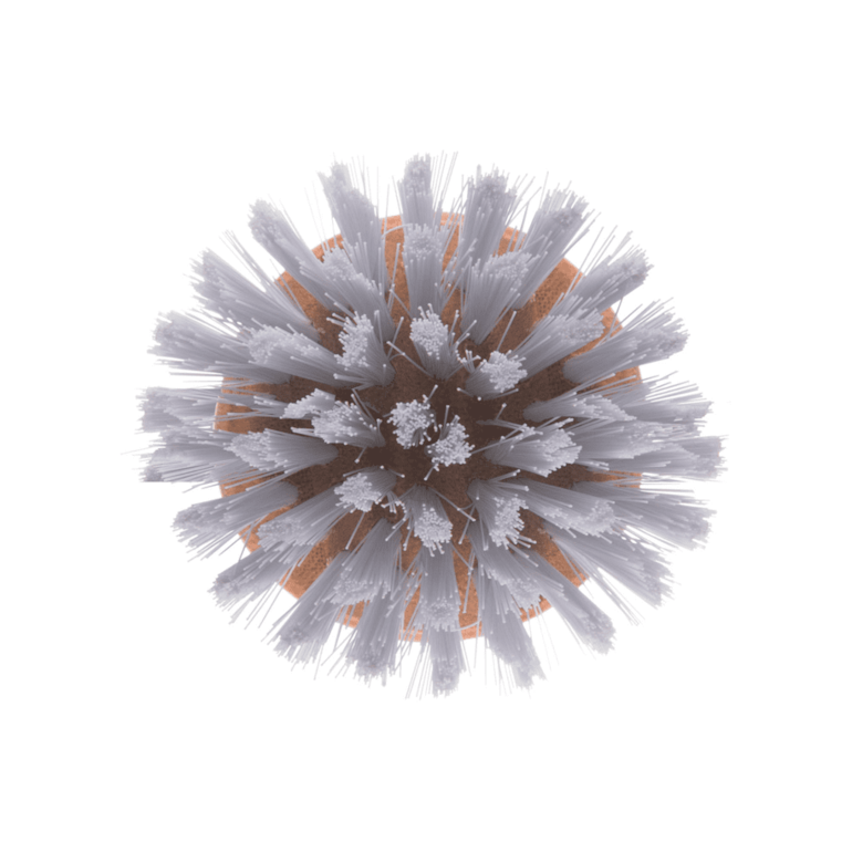 image_c3251de6-e8f3-4b16-878e-29f1a1e278e7