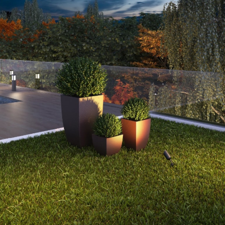 image_fc968fec-4f7f-470b-8922-b8e03304aa31