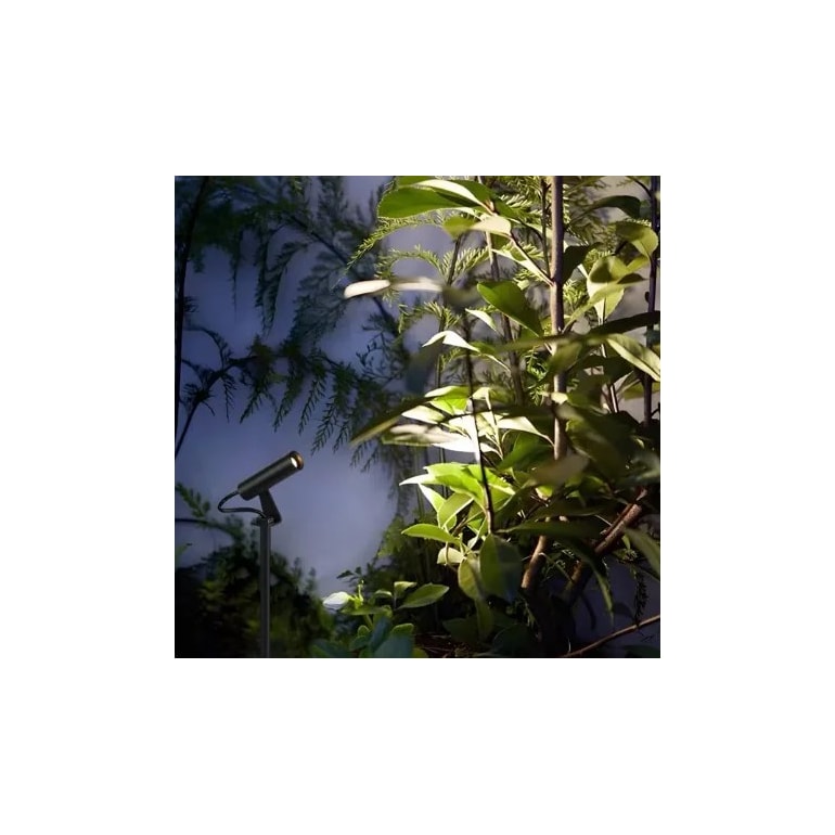 image_bce580af-f3f8-4953-9eb0-fde9b6bcfa39