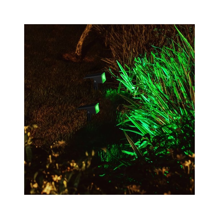 image_804a0a0b-4d2b-4ee6-a205-3f1b3b87b113