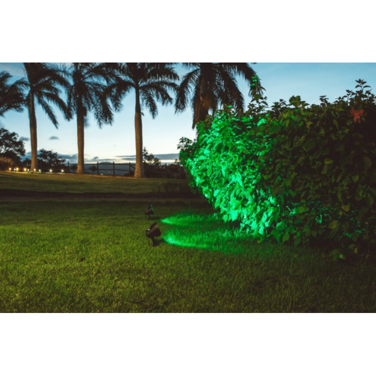 image_018d8e10-9651-472a-8e44-45ed2ba709d5