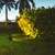 Espeto Spot Led 3,5W 3000K Luz Amarela Ecoforce