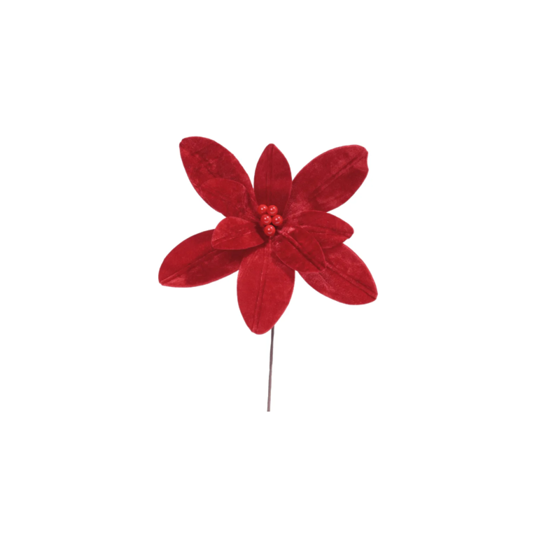 image_bcceb54f-7907-4957-8614-6f6cdf834748