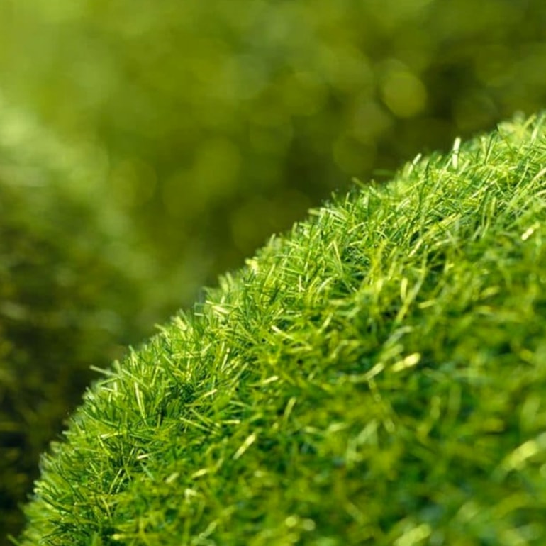 image_ef718114-7a0b-4d21-b577-e45c2f4fe633