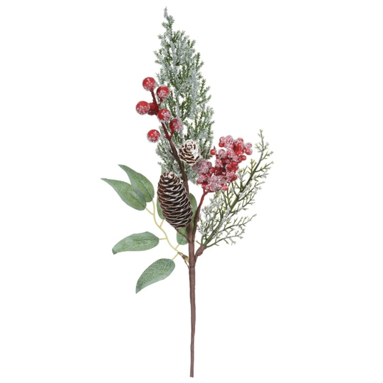 Product main image - 21c3d030-b3ea-4993-92fc-da292964b25e