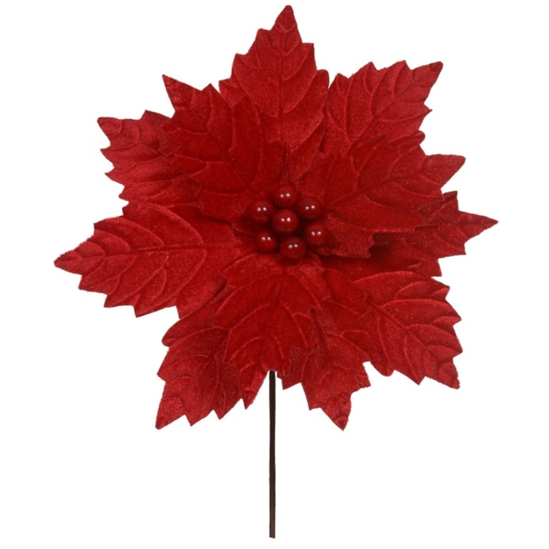 Product main image - c5dca72e-e96a-4b7e-8b2b-7aaa6198f08b