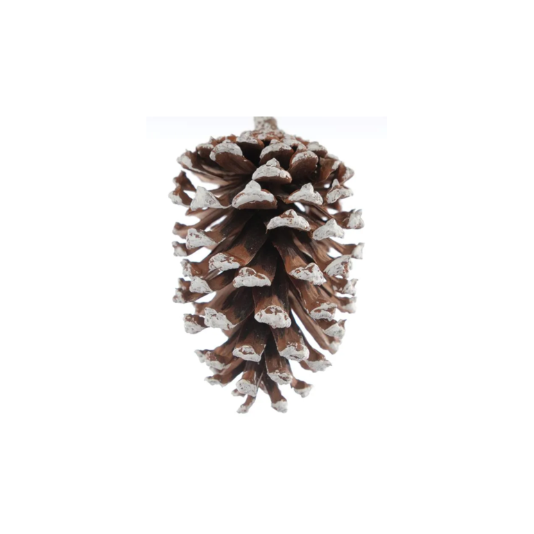 image_72f02e38-aec5-463c-842a-9690fd4f622d