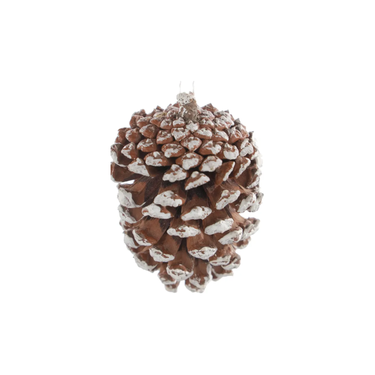 Product main image - 6aadf501-bbea-4a69-a248-3ba673c51d2e