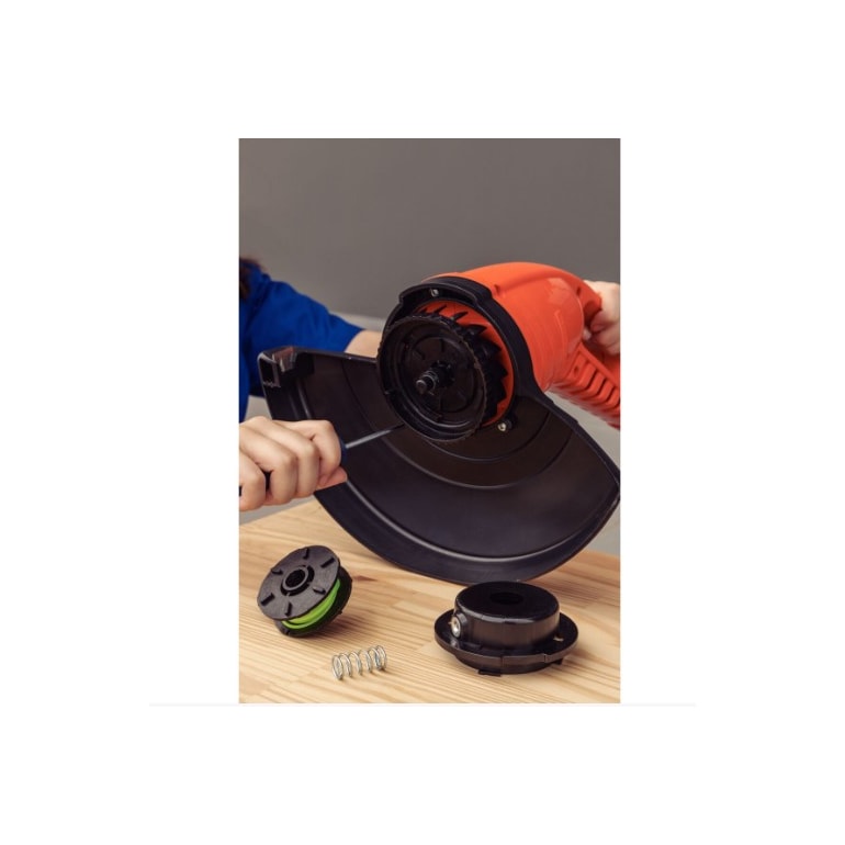 image_eb10548e-9290-4548-bbde-1d864cb99114