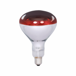 Lâmpada R125 Infravermelho 150W 220V E27 Glight