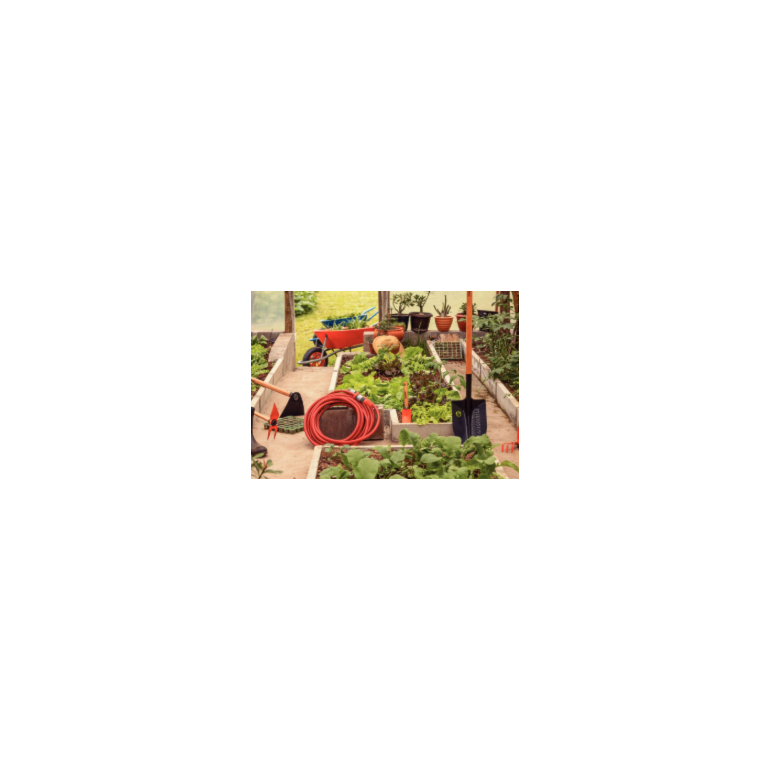 image_f3de94dc-32ff-46e0-8ebd-a73a15c2945f