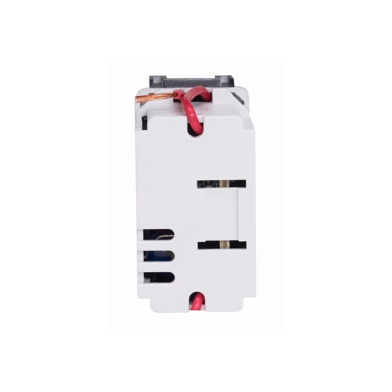 image_fb4da693-f2e9-46c3-9d7c-94b00a36b501