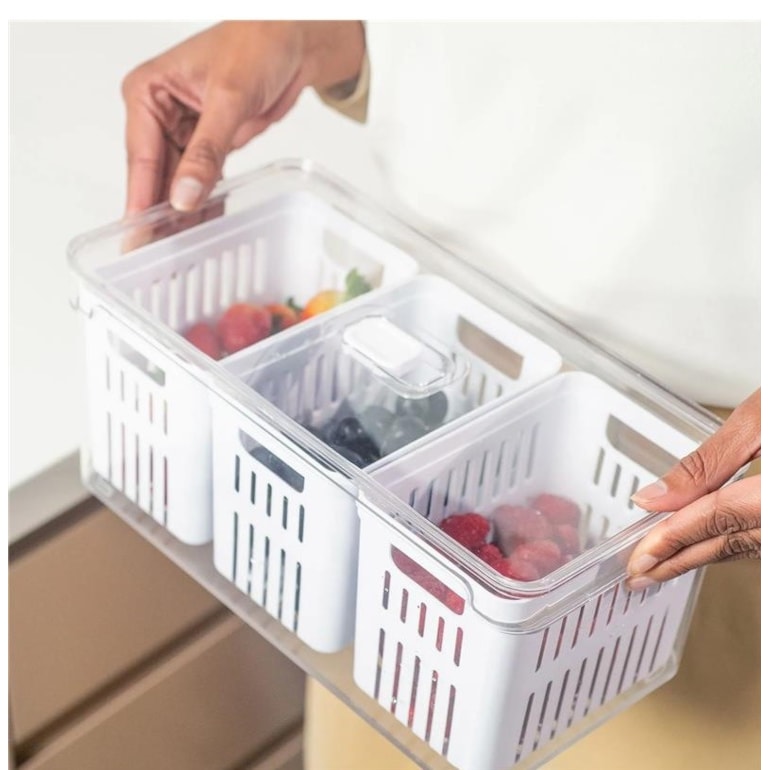 image_8e7b88cd-e93f-4aa7-bc89-4dbb72218e7e