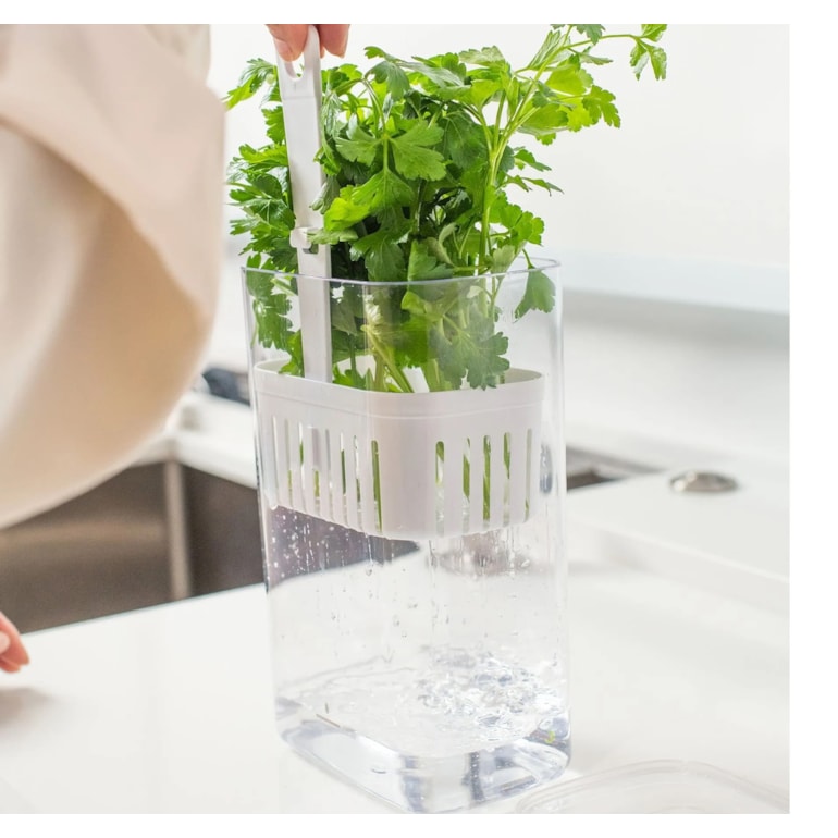 image_b88917cb-4aec-45a6-a2f8-773d436077a0