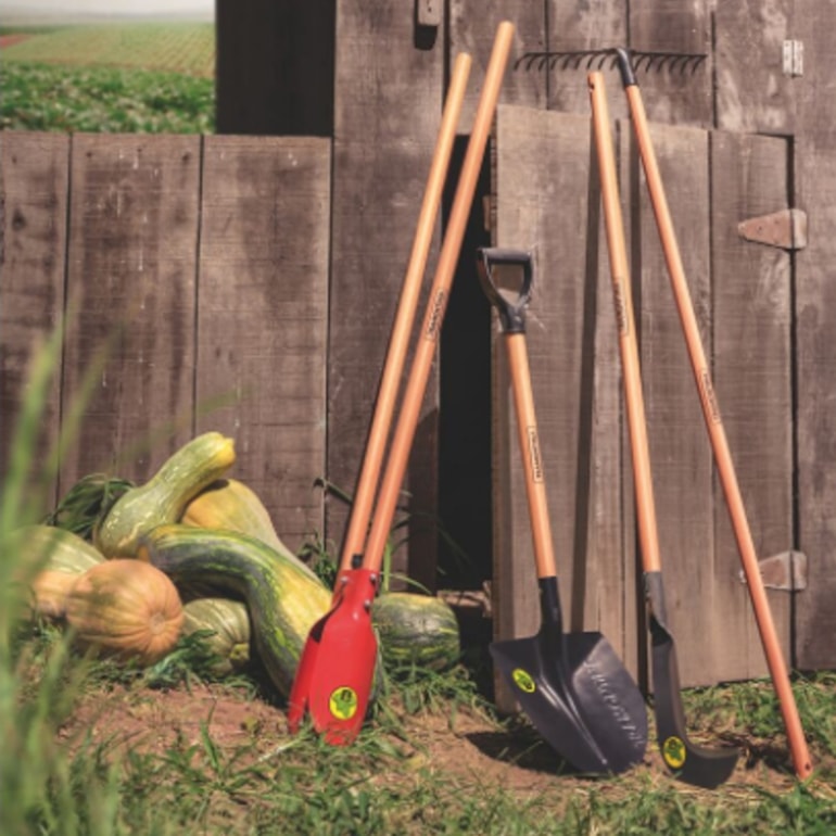 image_68b645f6-a7fa-4a98-84d8-572b8322b150