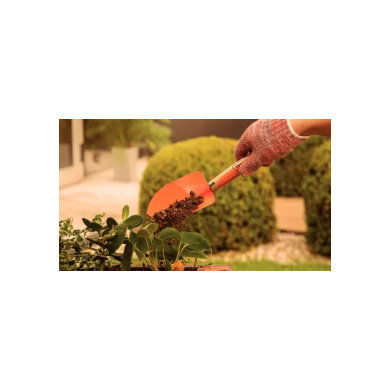 image_c3809e7a-c75b-447b-8006-b7f95196203b