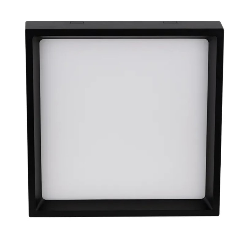 image_5321d16c-0eab-4279-bd6e-cf6f19dea4e3