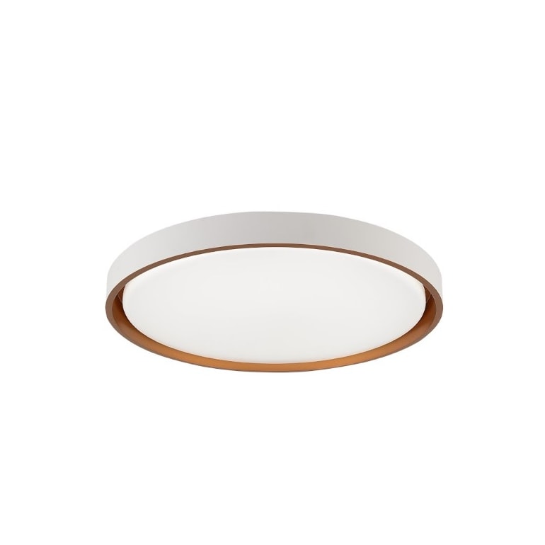 Product main image - ed144f91-54e4-40c7-9418-c2021642c887