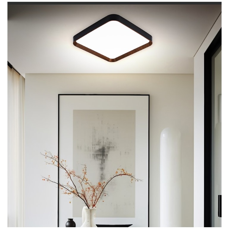 image_c5fc3aa3-571a-41dd-a0f3-6760d00eae58