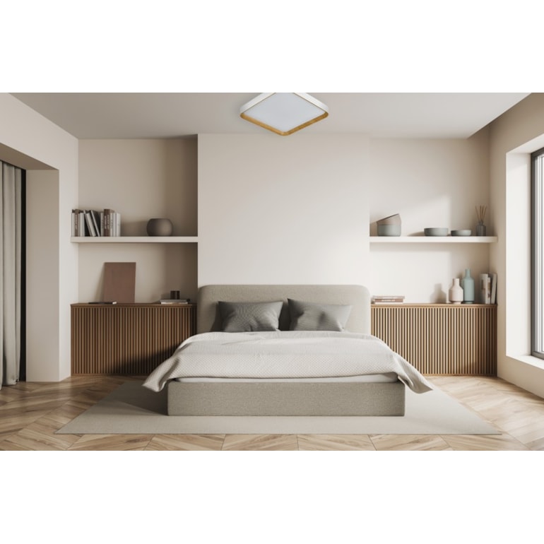 image_782ba442-9a6e-4c15-ac12-f2bfae665f1a