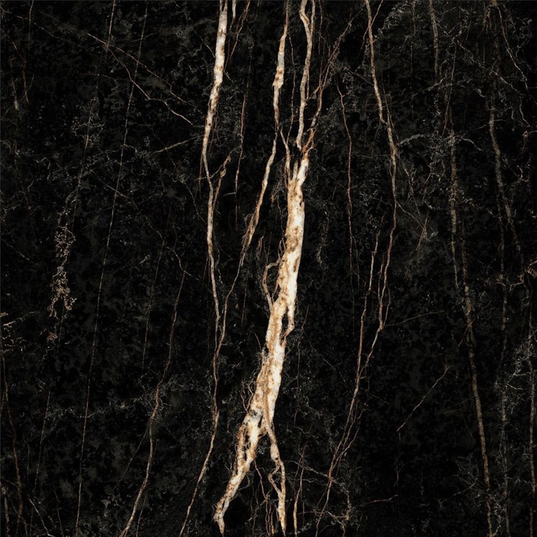 image_3c64fe6a-9e76-445d-afbc-cdf71c30565e