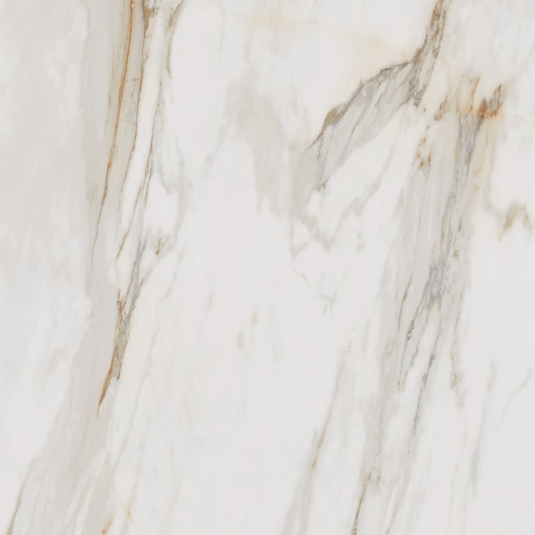 image_d45dd466-7697-471f-a742-ae2b725a055c