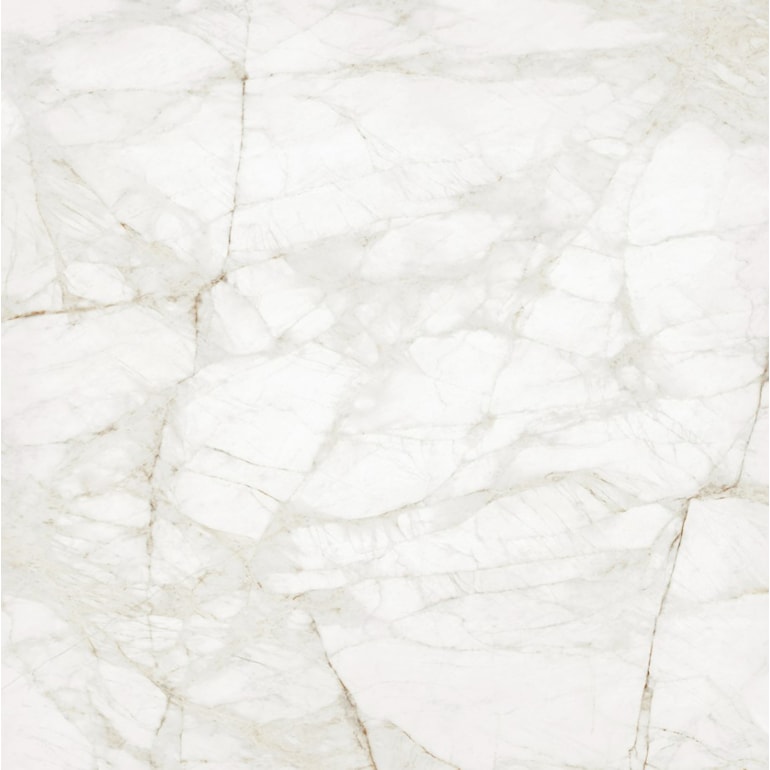 image_c707e8e5-048e-48c3-91fe-08a2fec72b07