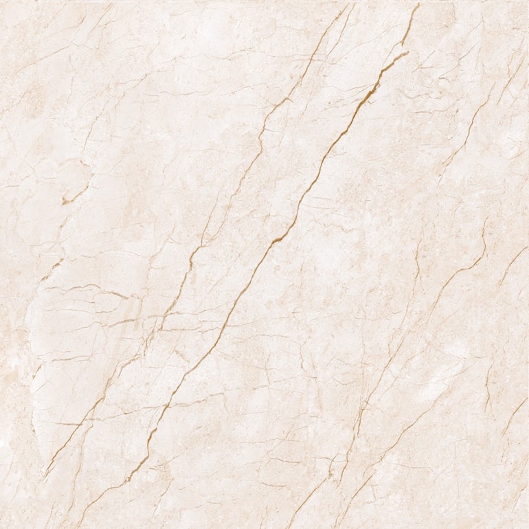 image_5d853a78-7f08-46a9-a876-8996d36087c0